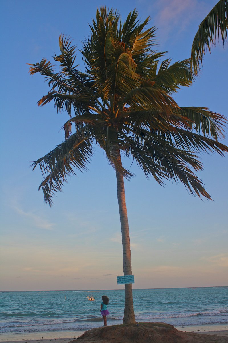 Coqueirais & Praias do Sul em Maceió