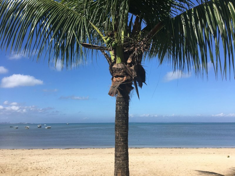 Praia da Quarta em Morro de São Paulo